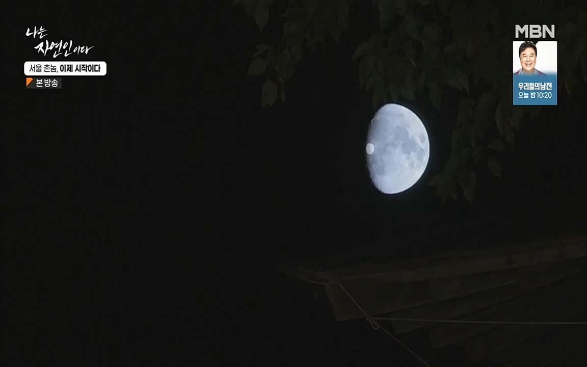 나는 자연인이다.E521.220928.H265p-BULDU.mp4_20220930_210344.186.jpg