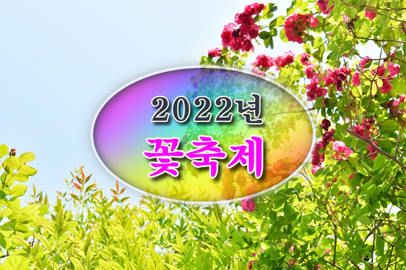 2022년 꽃 축제 모음