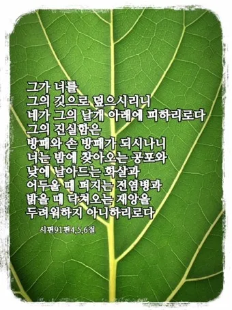 시편 91편 잠언 묵상 말씀_19