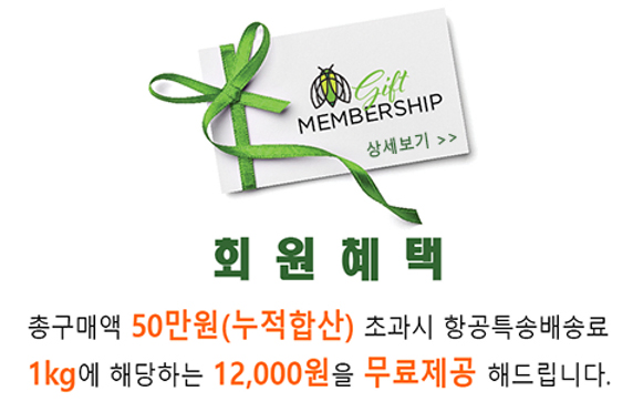  공지사항