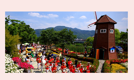 페스티벌