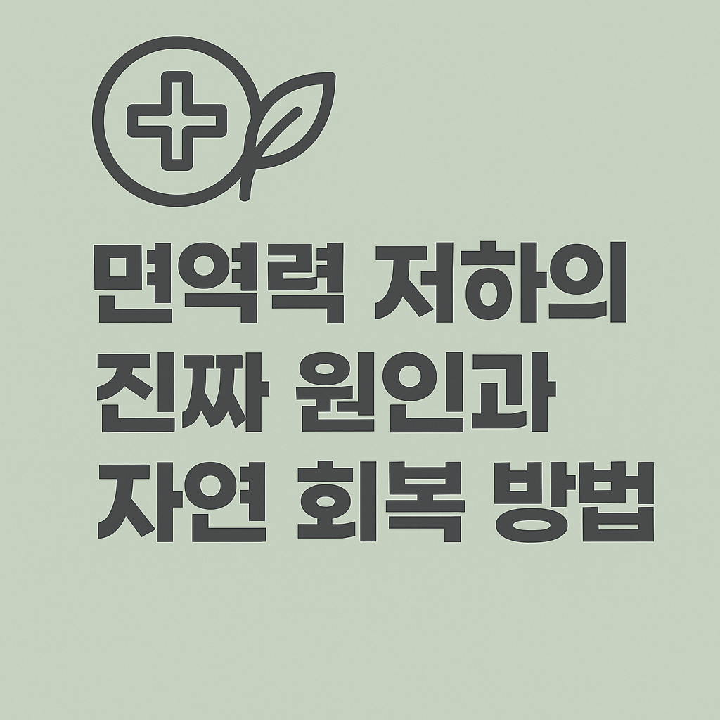 면역력 저하의 진짜 원인과 자연 회복 방법