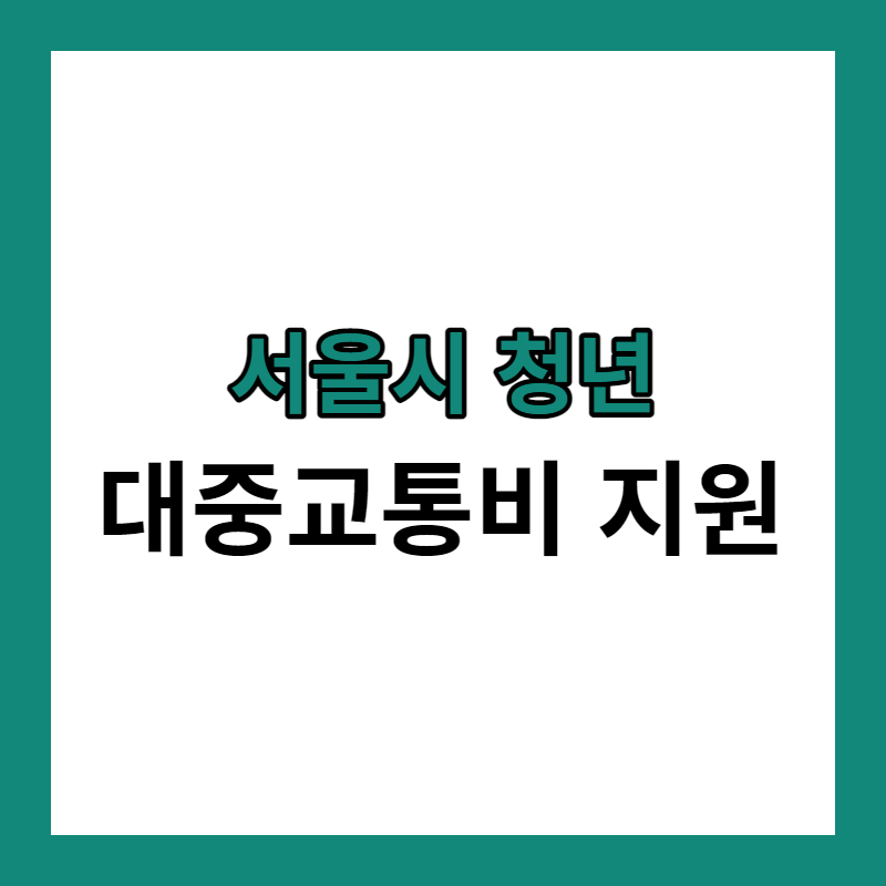 서울시 청년 대중교통비 지원