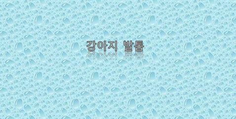  강아지 발톱 손질할 때 주의사항