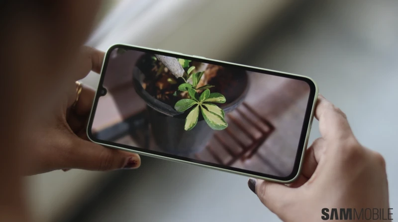 삼성 갤럭시 A34 5G를-양손으로-잡고-식물-이미지-보고-있는-모습