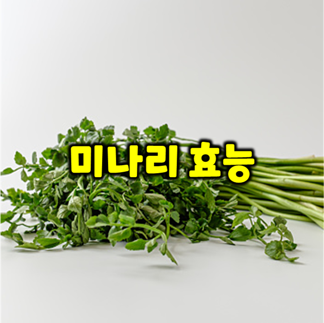  미나리 효능 7가지 - 건강해지세요.