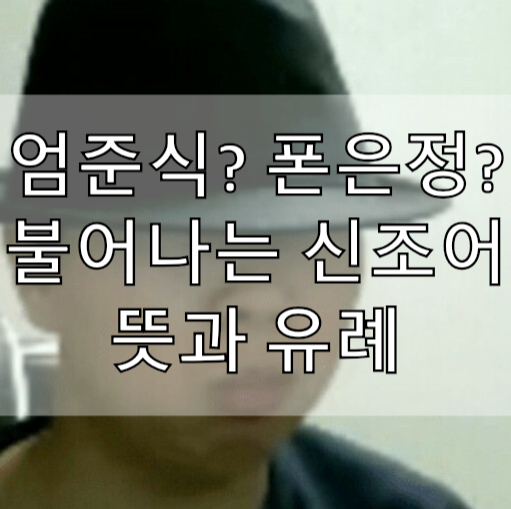  엄준식 폰은정 킹리적갓심 뜻과 유례