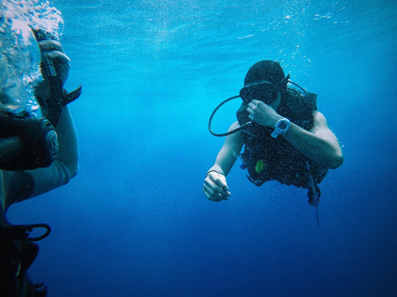 스쿠버 두 사람이 물속에서 서로 신호를 주고 받고 있습니다.