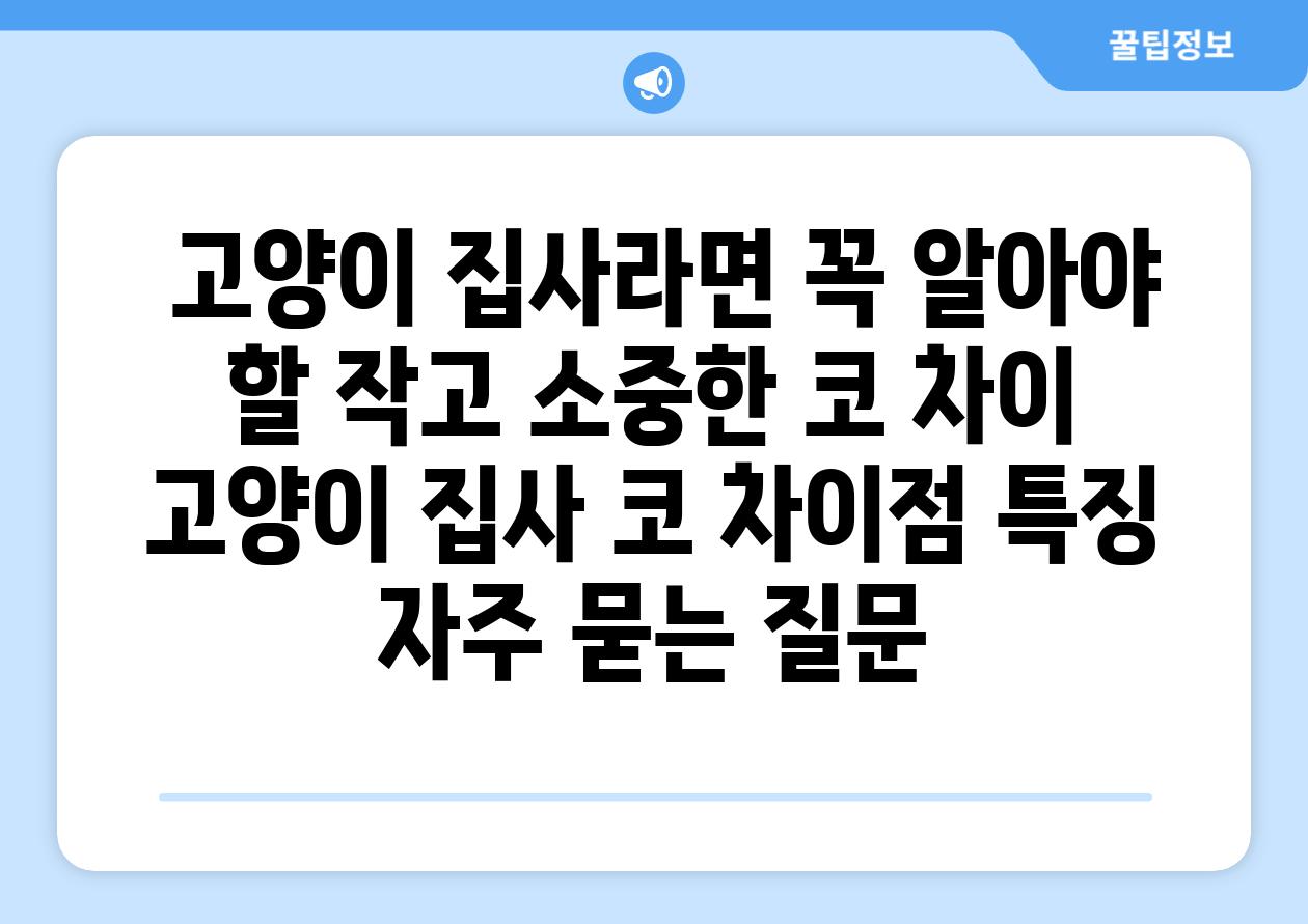  고양이 집사라면 꼭 알아야 할 작고 소중한 코 차이  고양이 집사 코 차이점 특징 자주 묻는 질문