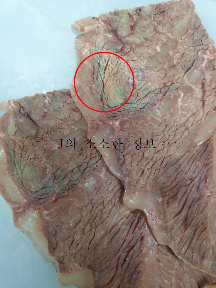  고기에서 무지개빛