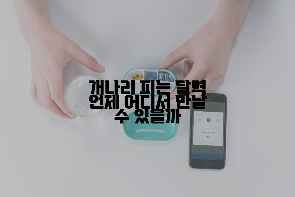 개나리 피는 달력 언제 어디서 만날 수 있을까