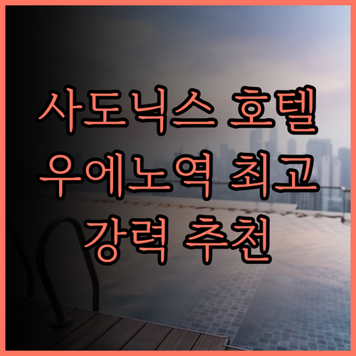 호텔 사도닉스 우에노 추천 후기 우에