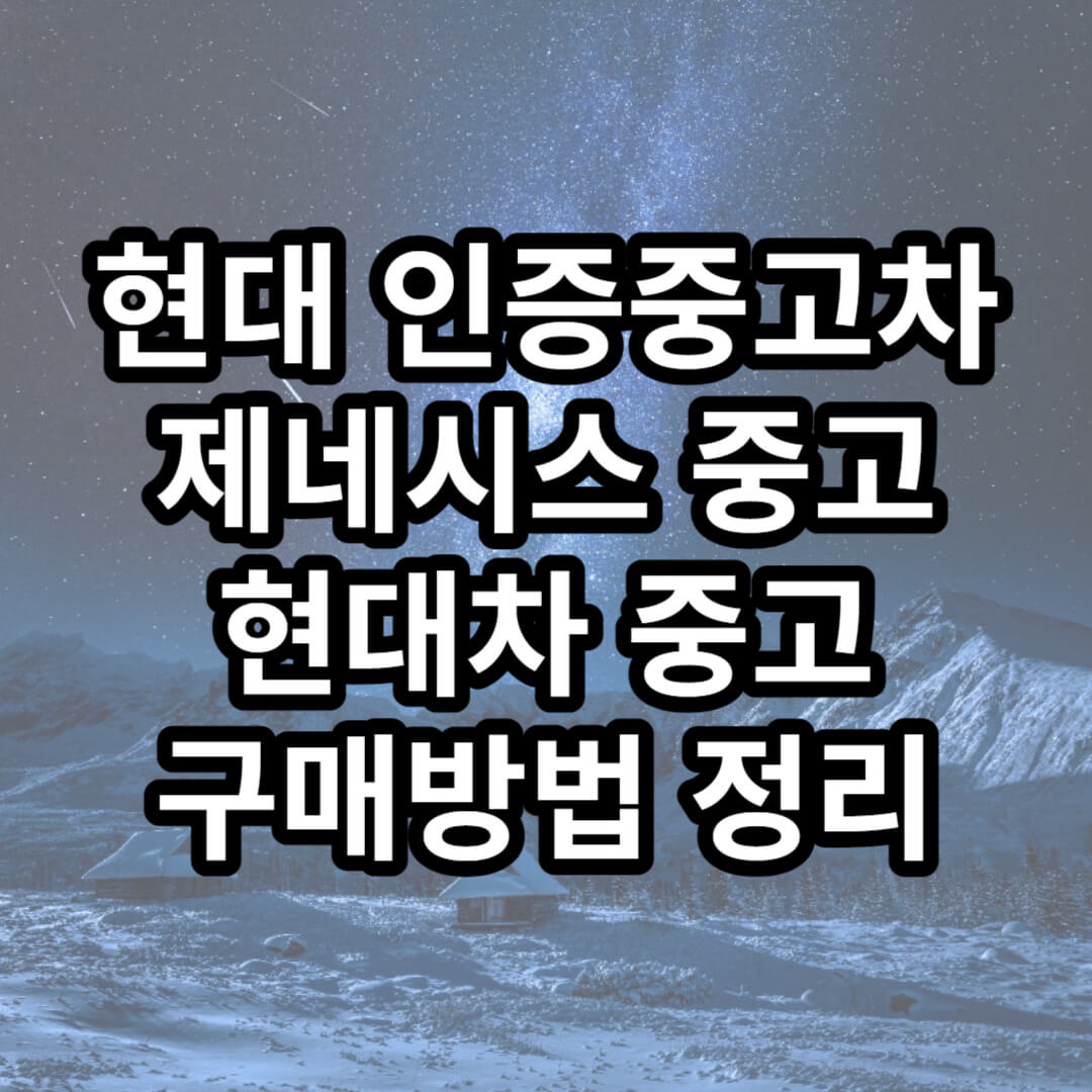 현대 인증중고차