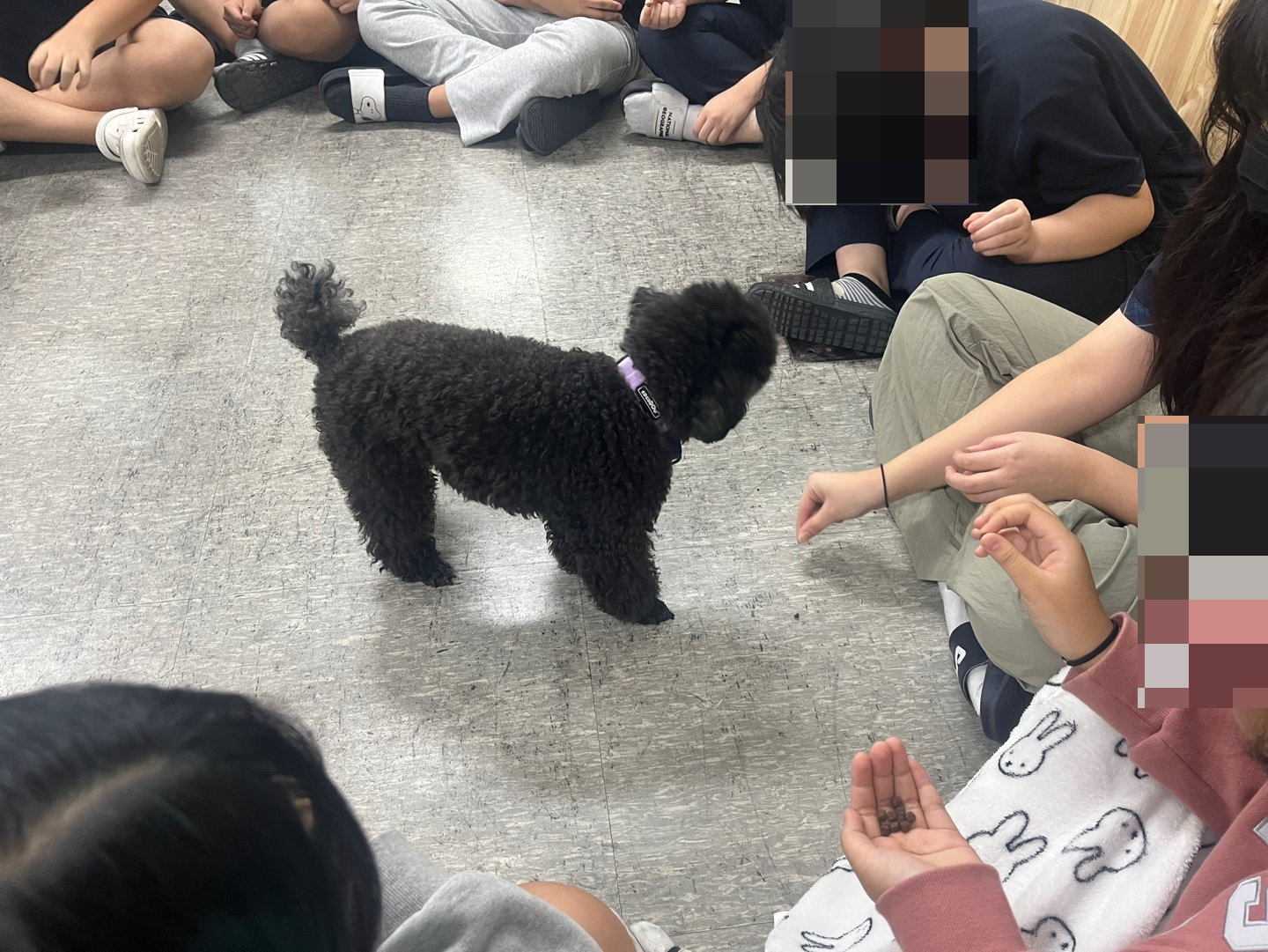 효정중학교 이미지