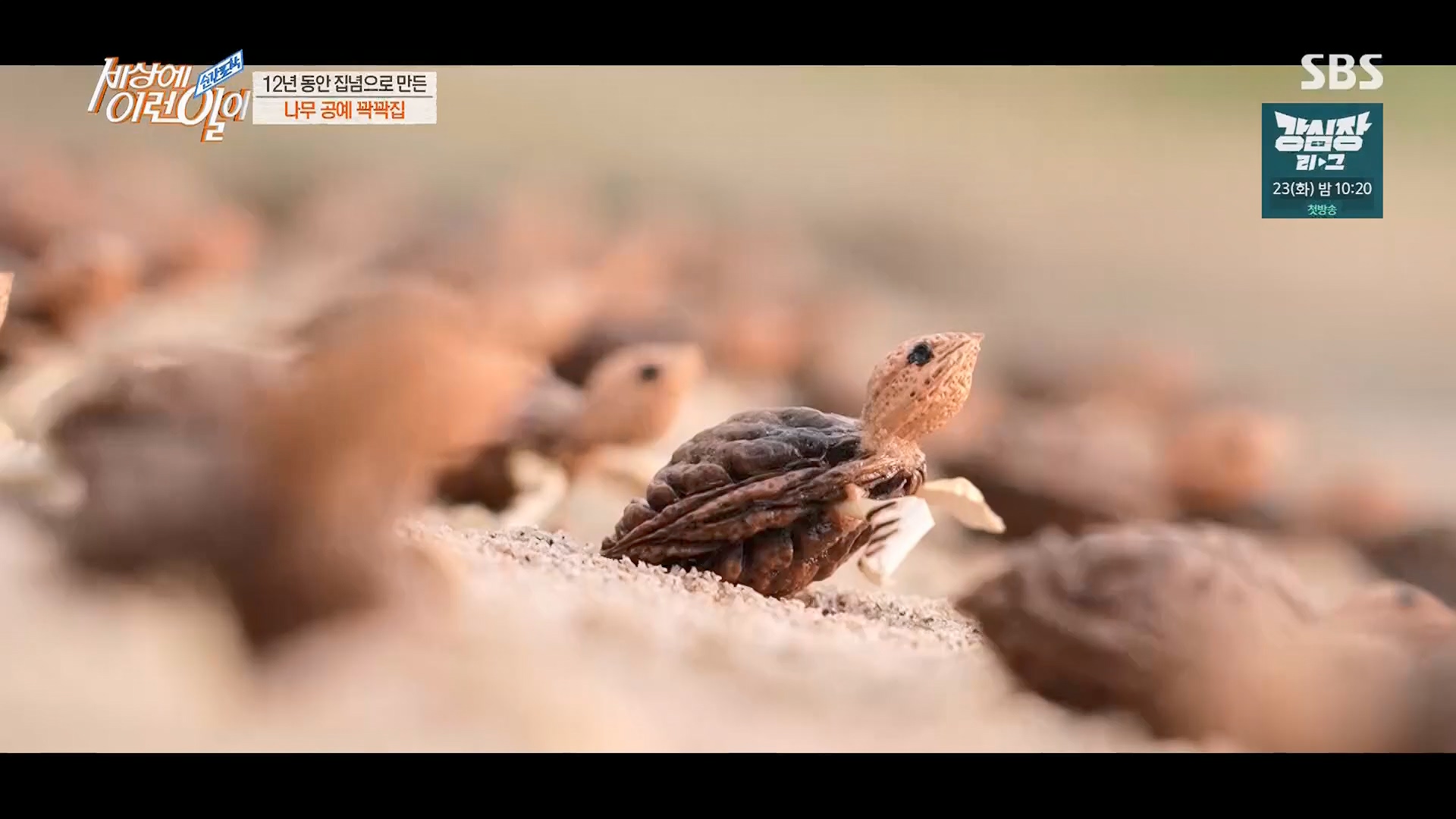 순간포착 세상에 이런일이.E1230.230516p.H264-F1RST.mp4_20230517_193657.356.jpg