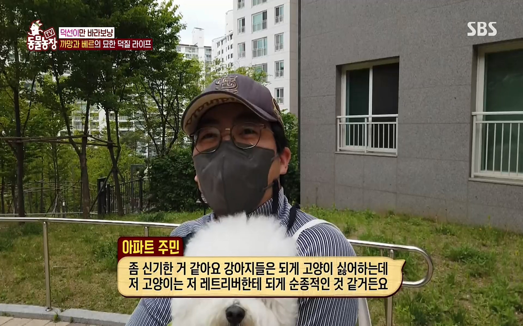 TV 동물농장.E1073.220612p.H264-F1RST.mp4_20220612_181344.276.jpg