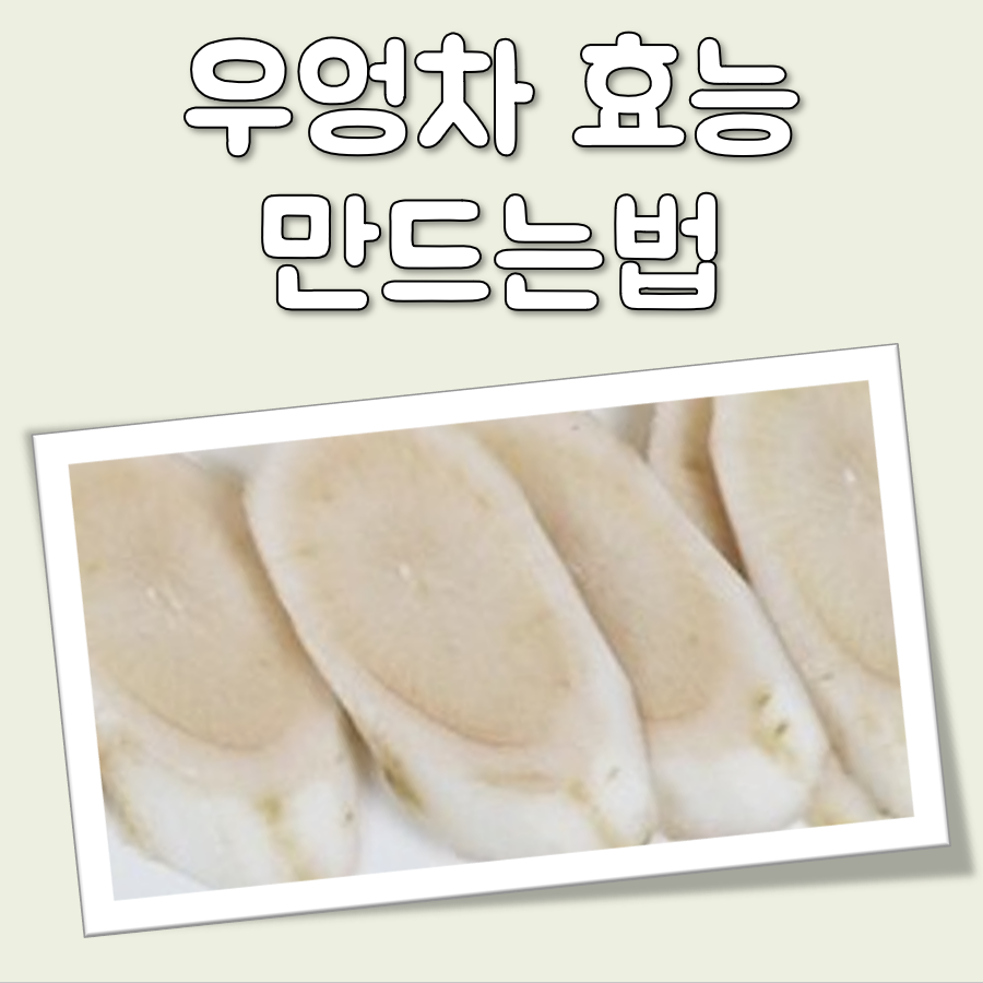 우엉차 카페인 함유 여부와 효능 및 만드는법 대표 이미지