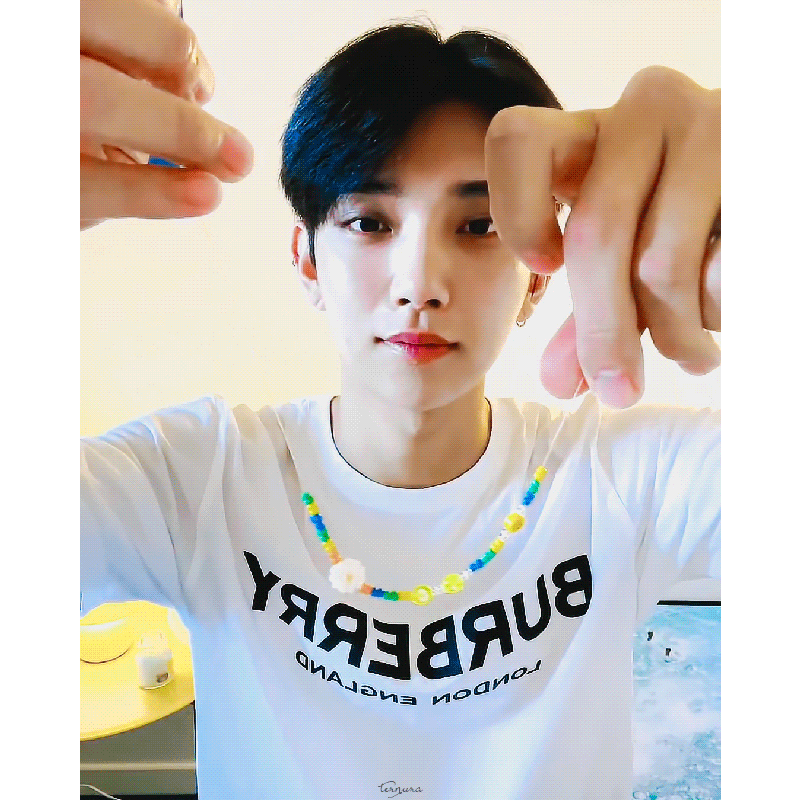 슈비즈 이미지