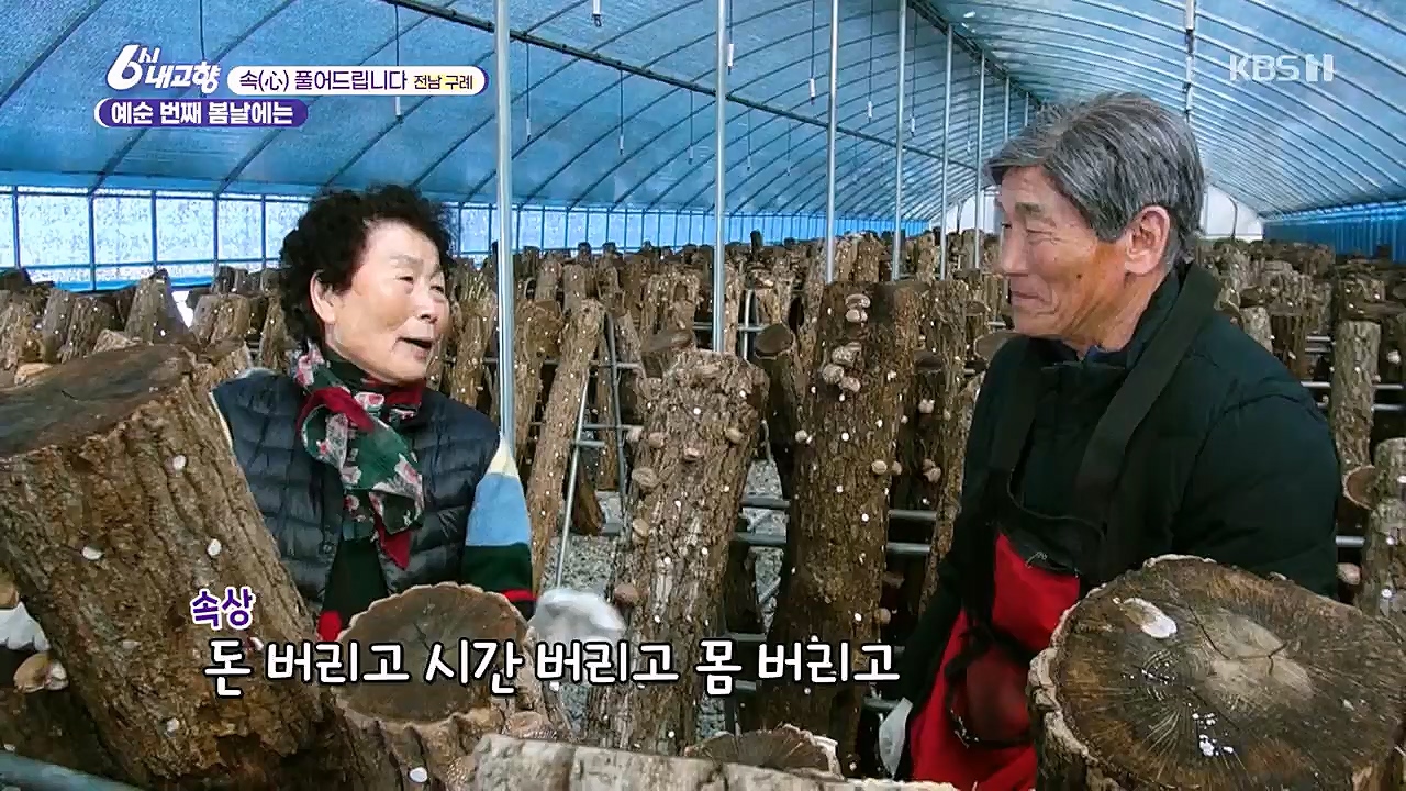 6시 내고향.E7744.230314p.H264-F1RST.mp4_20230314_175004.288.jpg