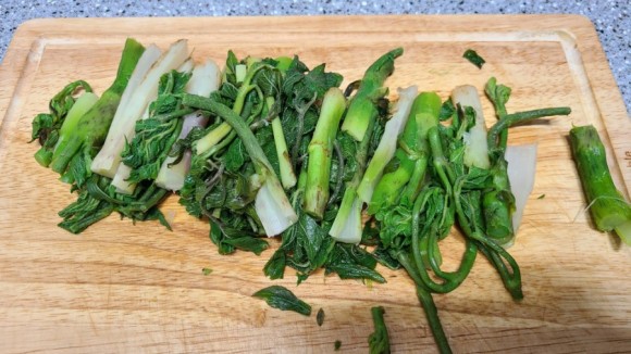 - 오가피 삼겹살말이 봄 야채 오가피 요리 7