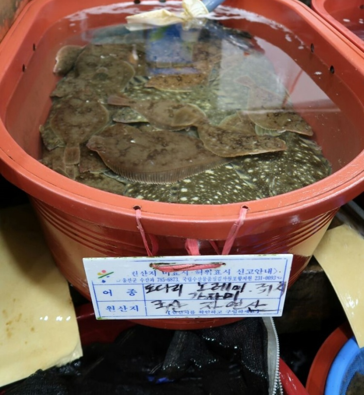 SBS생방송투데이 오감캠핑로드