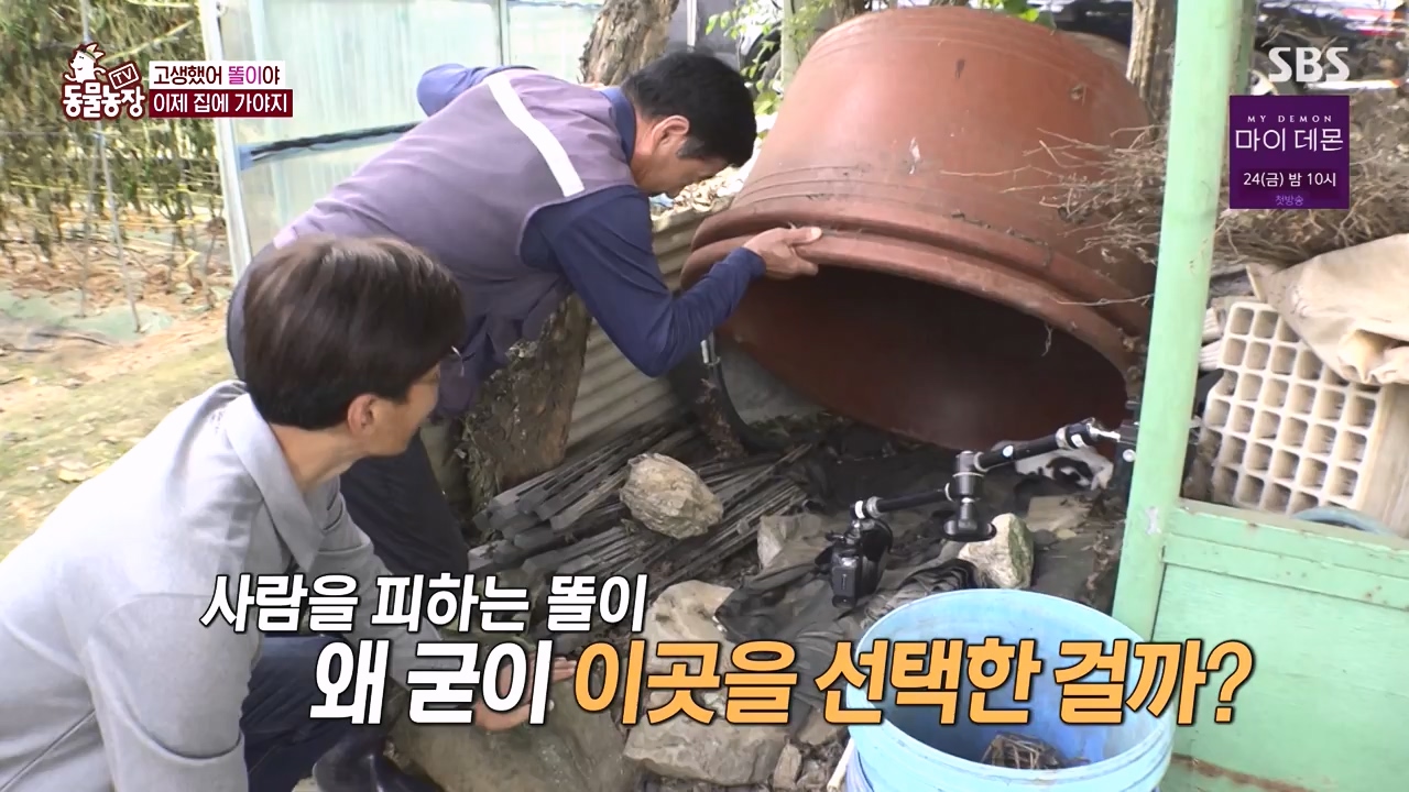 TV 동물농장.E1146.231120p-NEXT.mp4_20231119_175305.996.jpg