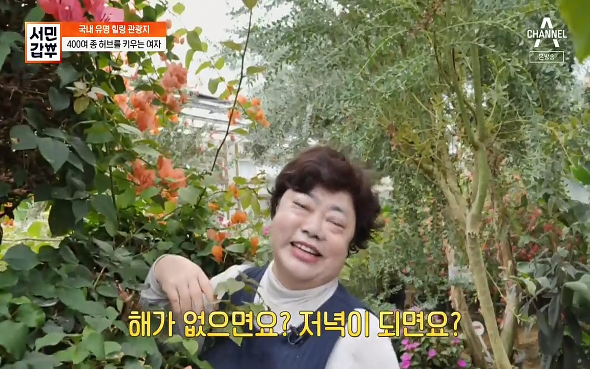 서민 갑부.E380.220424p-NEXT.mp4_20220424_182031.020.jpg