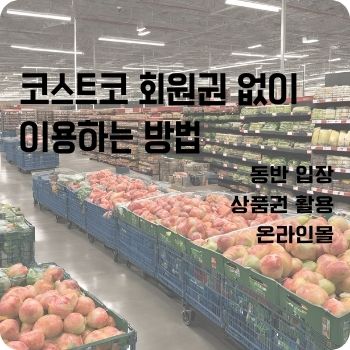 코스트코 회원권 없이 이용하는 방법