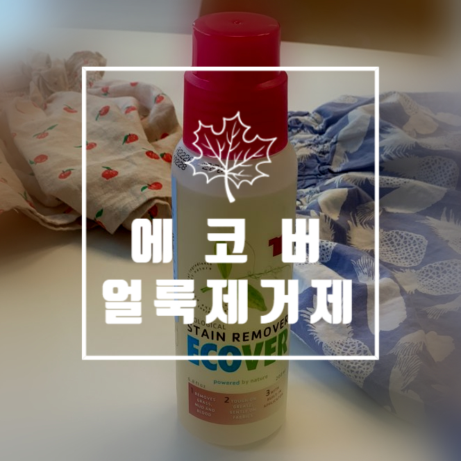  에코버(ECOVER)얼룩제거제