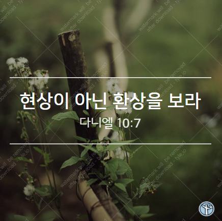  현상이 아닌 환상을 보라!