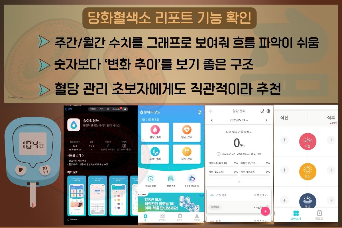 송아리 당뇨앱 리포트 기능 안내. 주간/월간 평균 수치를 그래프로 보여줘 흐름 파악이 쉬운 앱 인터페이스와 추천 포인트 요약 이미지
