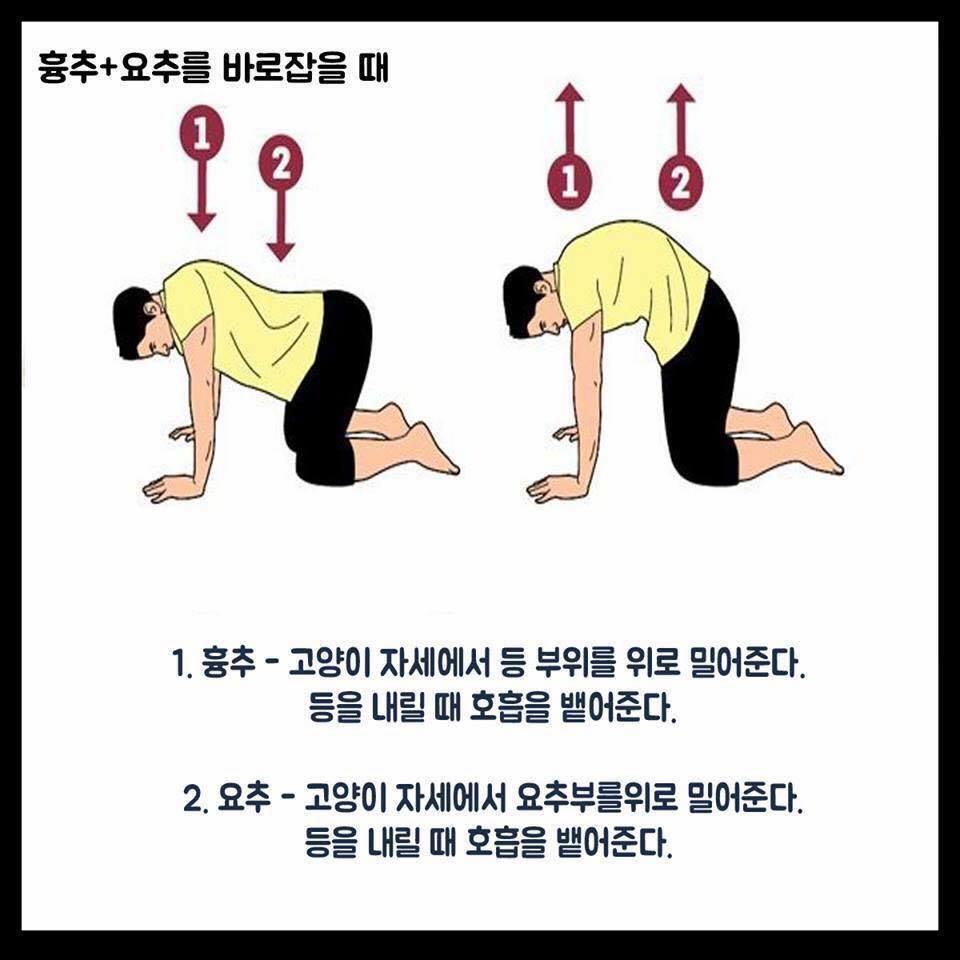  척추를 바로 잡는 스트레칭 방법