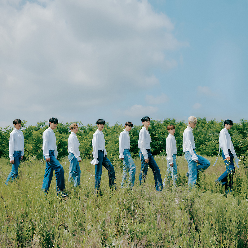 제38회 골든디스크 어워즈 라인업 부문별 후보, 투표 방법