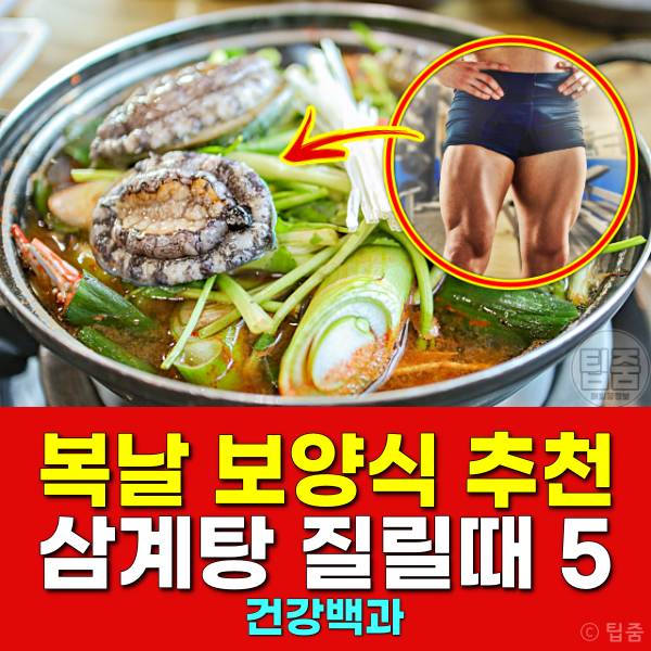 복날 보양식 추천 전복 해물탕