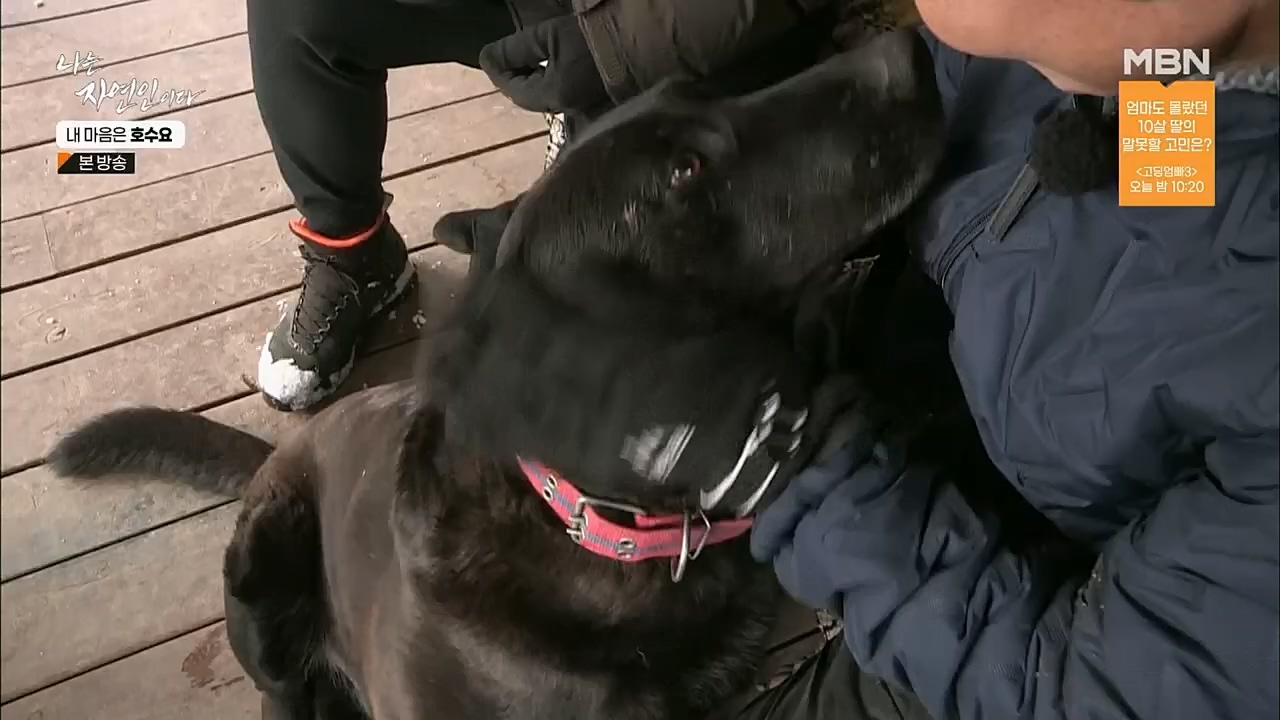 나는 자연인이다.E540.230209p.H264-F1RST.mp4_20230209_203721.666.jpg