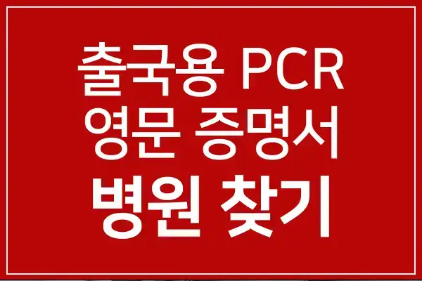 출국용-pcr-영문증명서-병원-찾기