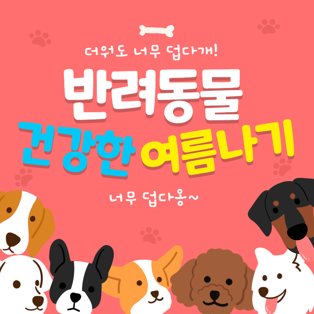 반려동물