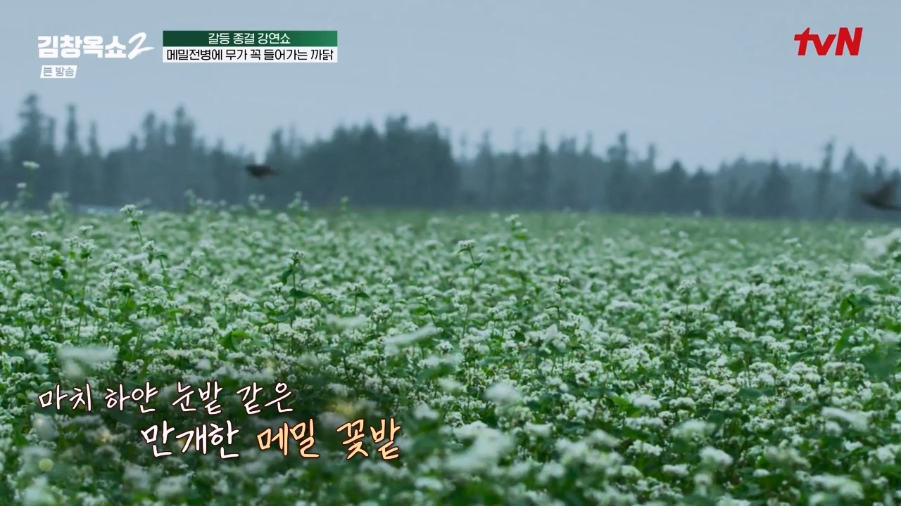 김창옥 쇼 2.E08.240329p-NEXT.mp4_20240331_172550.923.jpg