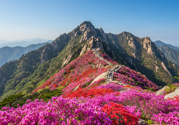북한산 진달래능선
