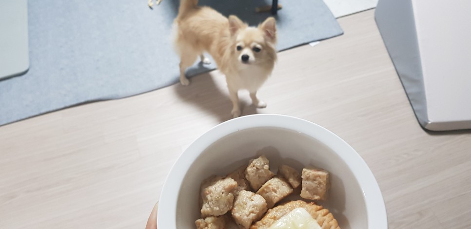 [강아지간식]허닭x핏펫몰 꼬꼬가슴살 맛있는 냄새로 18