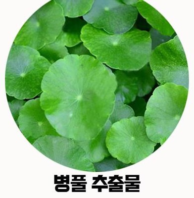 병풀-추출물
