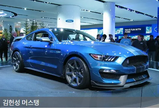 엘케이매니지먼트 이미지