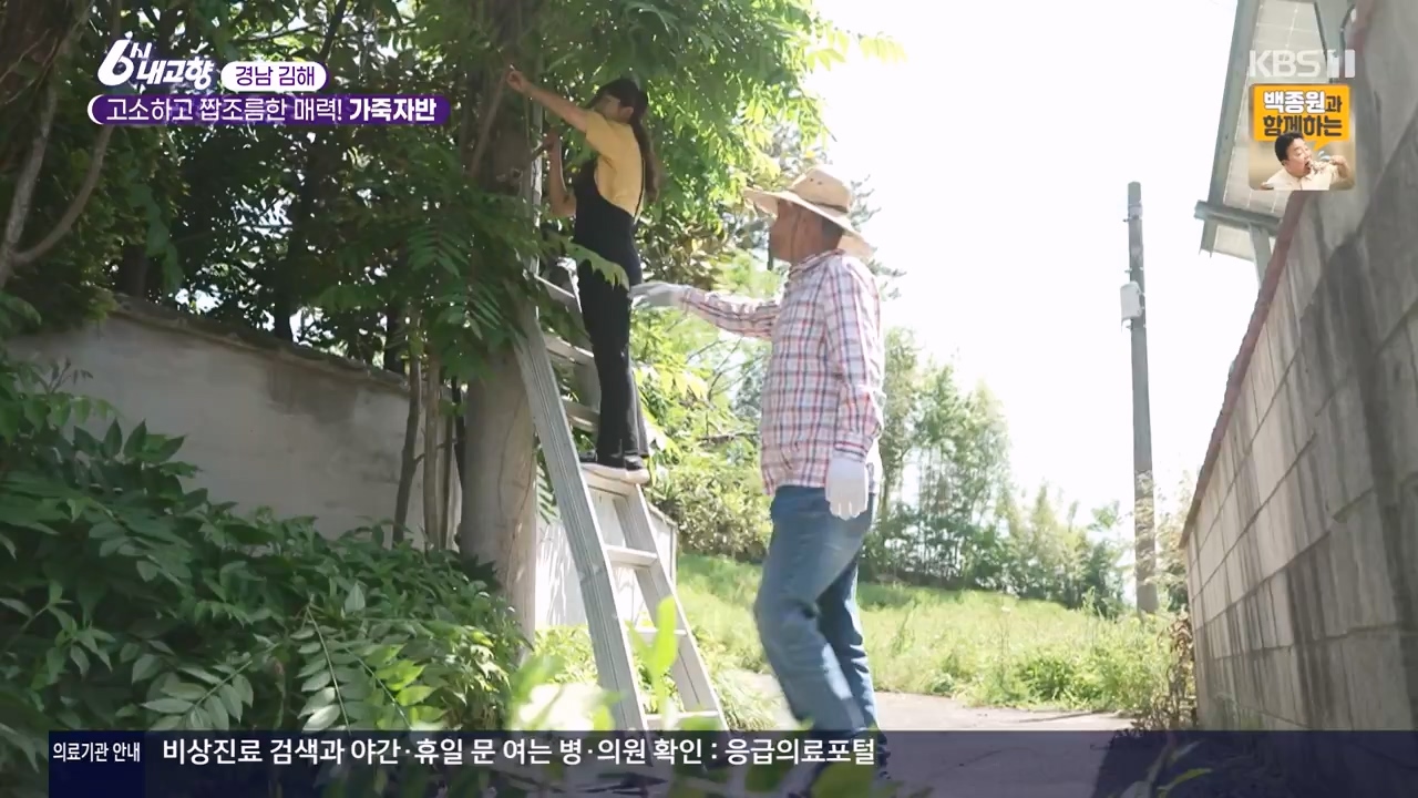 6시 내고향.E8057.240525p-NEXT.mp4_20240525_162159.978.jpg