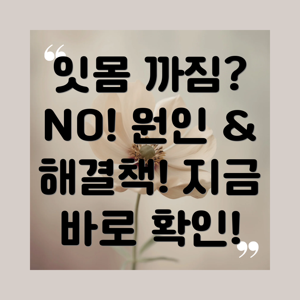 잇몸까짐