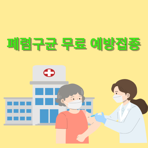  노인 필수 예방접종 폐렴구균 무료 예방접종 하는 곳
