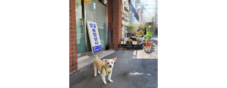 부산 북구 조경