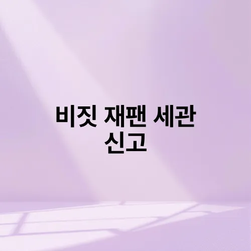 비짓 재팬 세관 신고