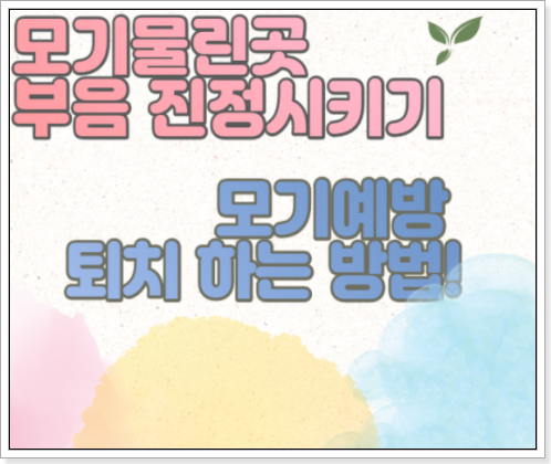  모기 물린곳 부음 , 멍 예방 하는 방법과 진정 시키기