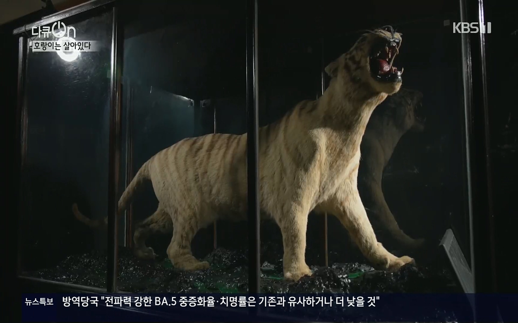 다큐 On.E150.220729p.H264-F1RST.mp4_20220730_164047.476.jpg