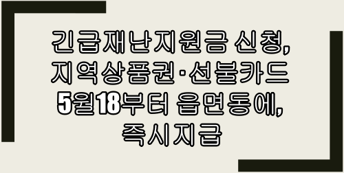  긴급재난지원금 신청, 지역상품권･선불카드 5월18부터 읍면동에, 즉시지급